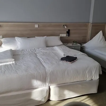 Matz Brunnenhof Szálloda Wilgartswiesen