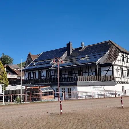 Matz Brunnenhof Szálloda Wilgartswiesen