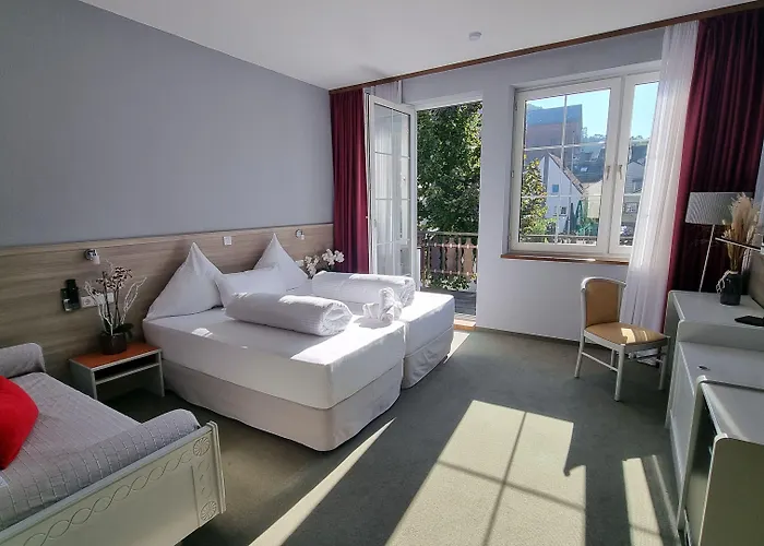 Matz Brunnenhof 3* Wilgartswiesen